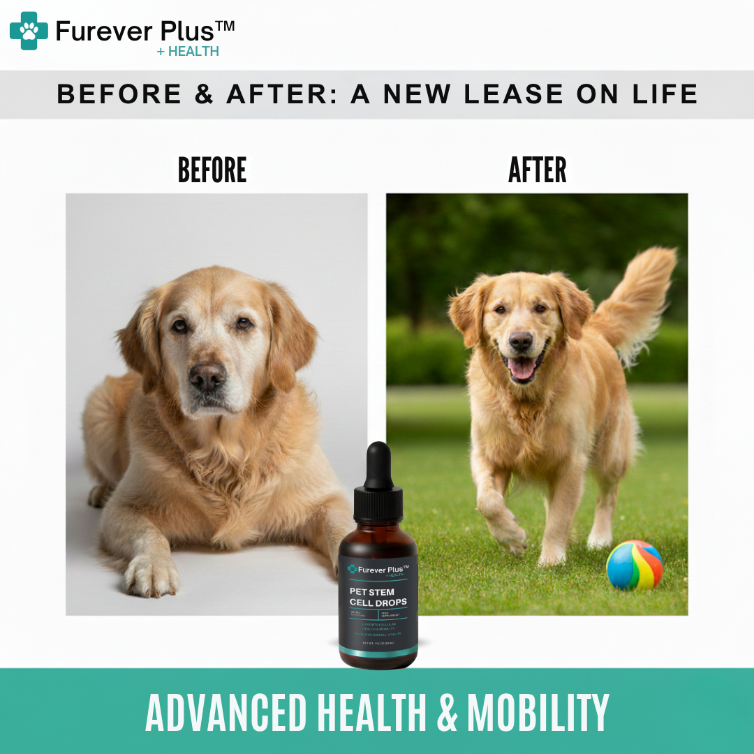 Furever Plus Pet Stem Cell Drops
