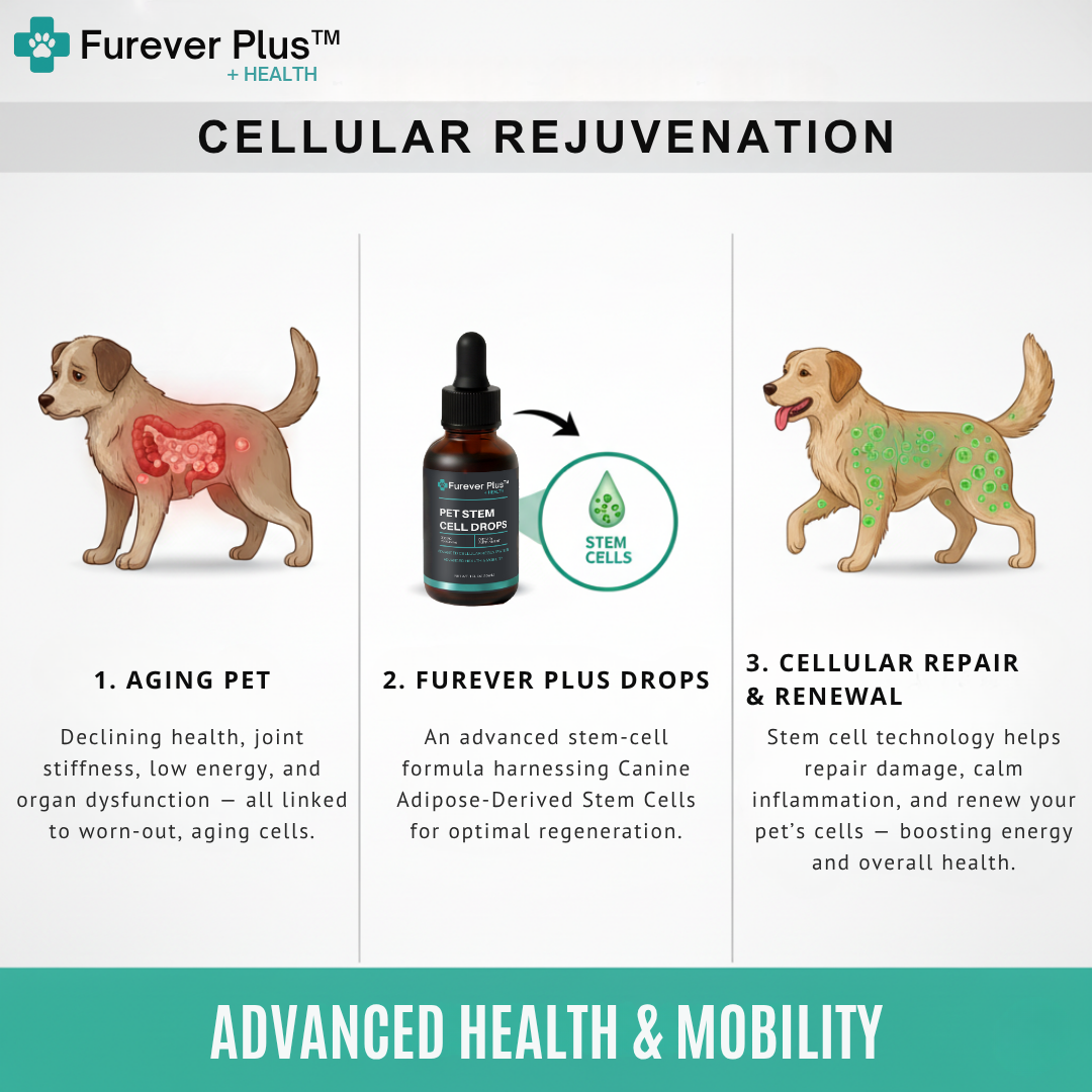 Furever Plus Pet Stem Cell Drops