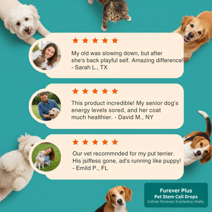 Furever Plus Pet Stem Cell Drops