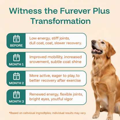 Furever Plus Pet Stem Cell Drops