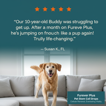 Furever Plus Pet Stem Cell Drops