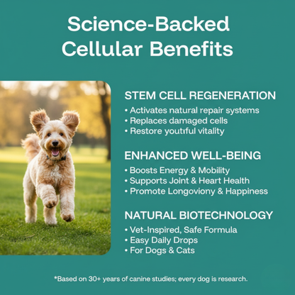 Furever Plus Pet Stem Cell Drops