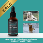Furever Plus Pet Stem Cell Drops