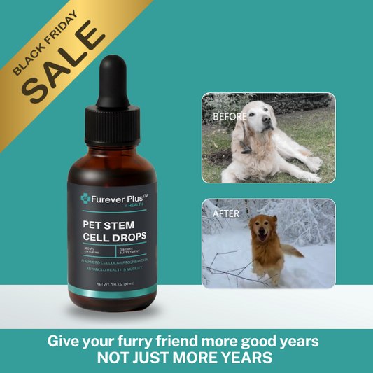 Furever Plus Pet Stem Cell Drops
