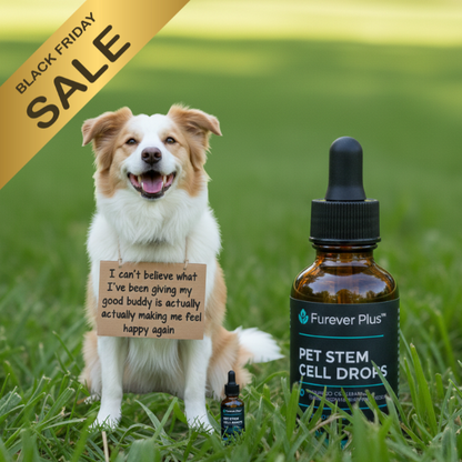 Furever Plus Pet Stem Cell Drops