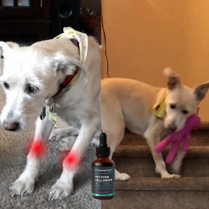 Furever Plus Pet Stem Cell Drops