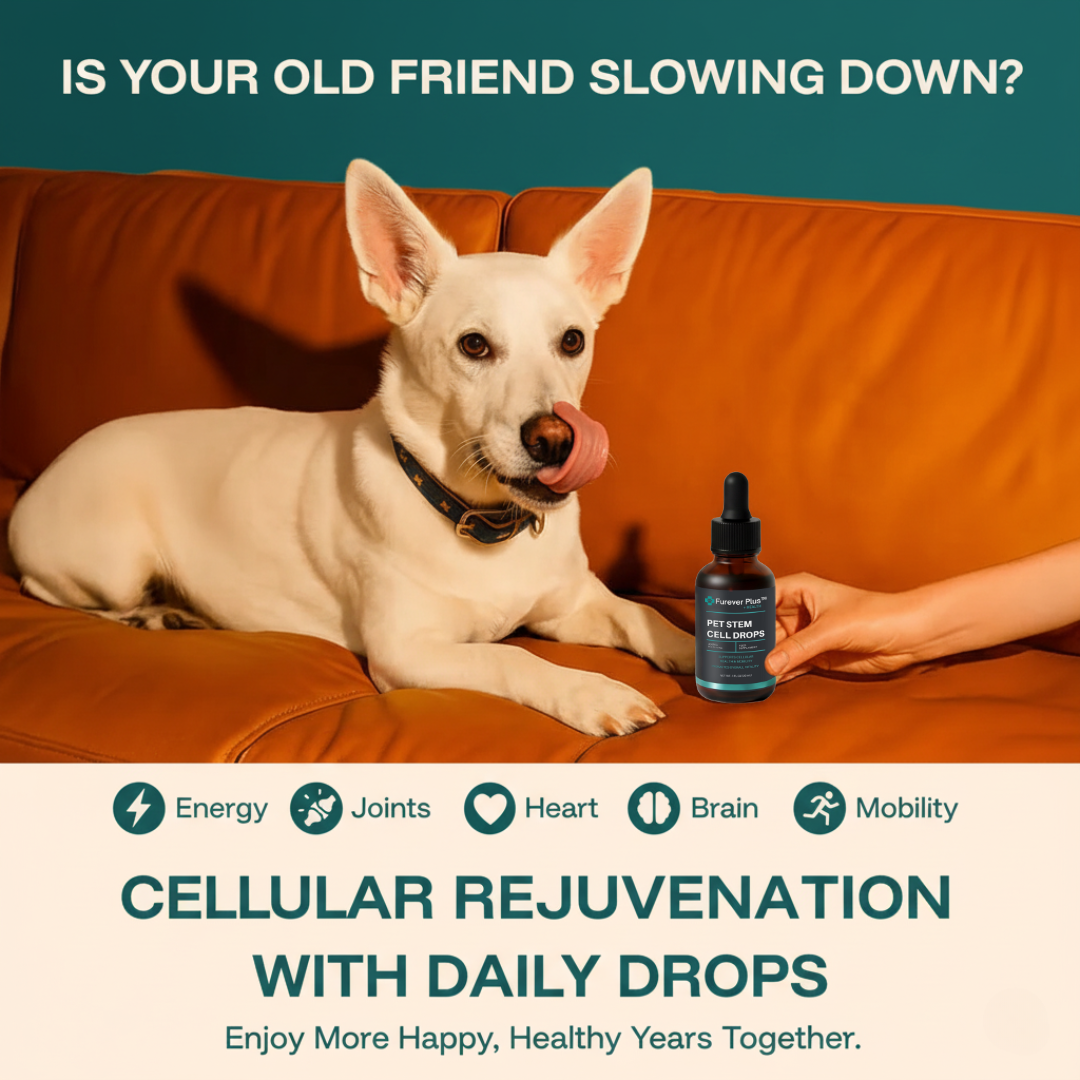 Furever Plus Pet Stem Cell Drops