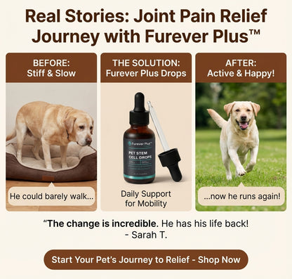 Furever Plus Pet Stem Cell Drops
