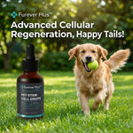 Furever Plus Pet Stem Cell Drops